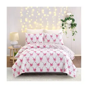 Modern Heirloom Abigail Bow Reversible Twin Quilt Set