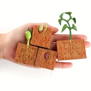 Plant Life Cycle Model Educational Toy Set, Christmas Gift for Kids, Science Learning, Realistic Plant Growth Stages, Learning Tool