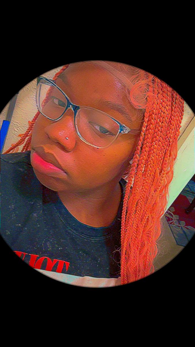 Item: #Pink Boho Braided Wig