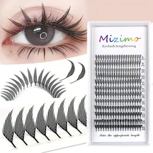 240pcs/120pcs/96pcs Fairy Eyelashes Extension, Soft Natural Feather Tip Design, Anime Comic Style, Curled DD Curl, 0.07mm Thickness, Diy Eyelash Extensions