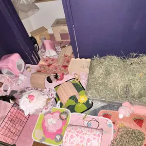 Guinea Pig Hideout Tassel Tunnel Rabbit Hideout No Bottom Guinea Pig Bed - Easy to Clean & Move - Thickened Skeleton & Breathable Bunny Beds - Small Animal Indoor Habitat for Rabbit Guinea Pig Ferret Hedgehog #GLOBAL PICKS