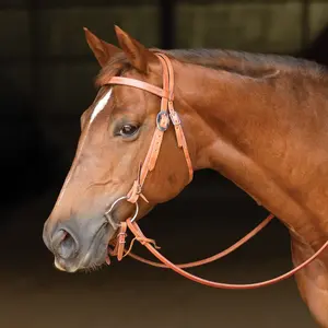 Billy Royal Finished Leather Hermann Oak Browband Headstall with Water Ties