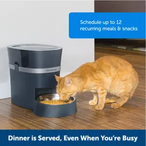 PetSafe Smart Feed WIFI Enabled Automatic Pet Feeder