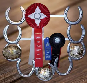 Horseshoe Shaped Ribbon and Belt Buckle Wall Display