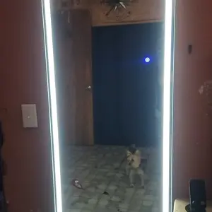 Stand Mirror Full Length with LED Lights, Floor Mirror Dimming & 3 Color Lighting, Large Mirror  for Bedroom, Glass Decorations Supplies