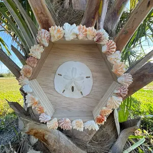 Sand Dollar Wall Decor - Hexagonal Frame with Seashells and Sand Dollar - Coastal Home Decor