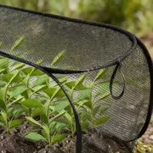 1pc Collapsible Pop-Up Mesh Plant Greenhouse Cover, Protective Cage with 4 Ground Stakes, Durable Animal & Insect Barrier Net for Raised Beds, Ideal for Fruits, Vegetables and Seedlings, Reusable