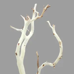 Manzanita Ghost Wood Driftwood for Aquarium Aquascape Vivarium Terrarium – Sandblasted Natural Wood Decor, Medium 18"–20" / Large 24"–26" | Lifegard Aquatics