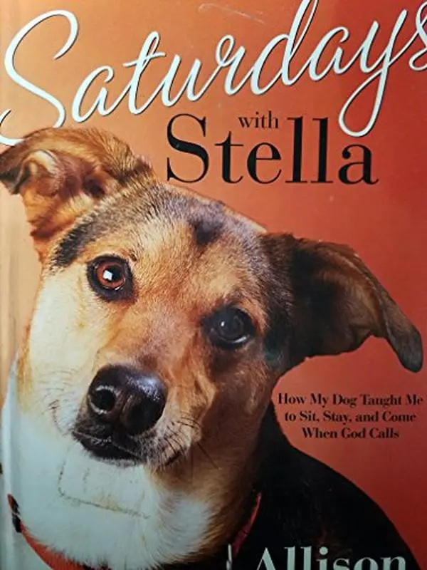 USED Book - Saturdays with Stella (How My Dog Taught Me to Sit, Stay, and Come When God Calls) by Allison Pittman (Hardcover)