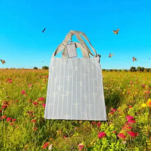 “Something Barrowed” Baby Blue Bow Bag