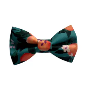 Dog Collar Bow Tie | Clementine Dog Collar Bow Tie | Duke & Fox®