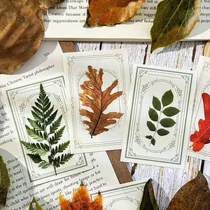 Natural Leaf Plant Stickers, 30 Sheets Per Pack, Custom Journal Decoration, Autumn Leaves Planner Scrapbook Album, DIY Craft Supplies, Scrapbook Materials