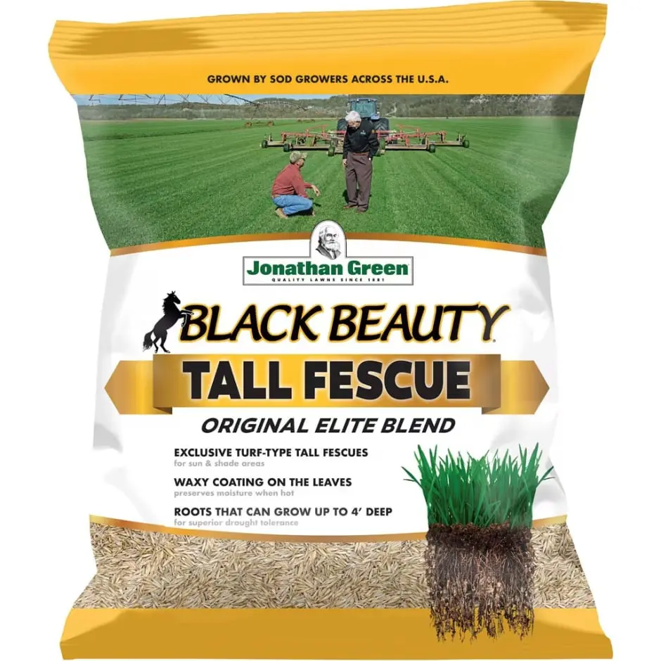 Jonathan Green Black Beauty 100% Turf-Type Tall Fescue Grass Seed Blend - 7lb, Moisture-Preserving, Waxy Protective Leaf Coating, Disease-Shielding, Extensive Root System