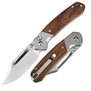 CJRB Bowie Pyrite Pocket Tool Knife with 3.15'' AR-RPM9 Steel Blade, Hunting Knife with Wood Handle for Camping and FathersDayGift