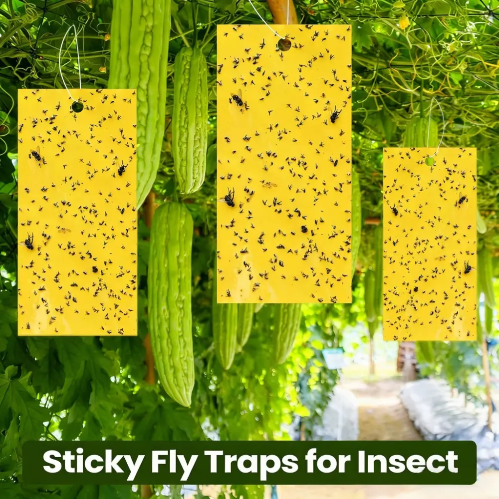 Dual-Sided Sticky Traps, Flying Insect Trap, 50pcs/30pcs Agricultural Pest Control, 20x10cm, Includes Fixing Wire, Suitable for Farm Garden Orchard