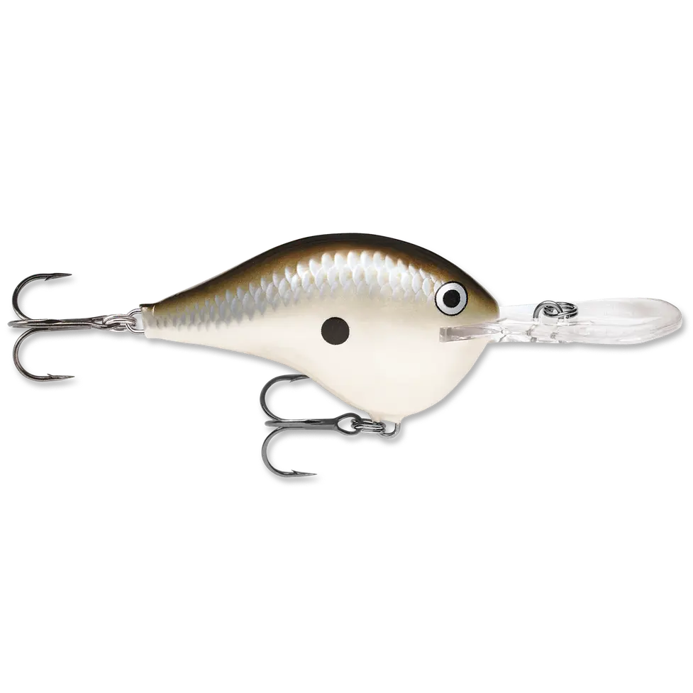 Pearl Grey Shiner