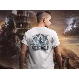 Kaladin and Syl Windrunner Unisex Tee, Stormlight Archive Fan Shirt, Fantasy Book Lover Gift, Cosmere Tee, Brandon Sanderson Fan Apparel