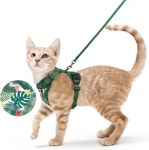 rabbitgoo Kaleido Adjustable cat harness and leash set