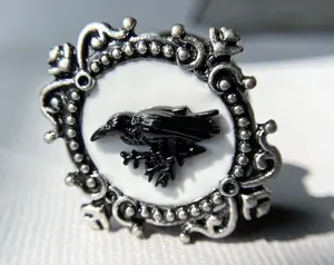 PAIR Poe the Raven Vintage Frame Steel Double Flare Tunnels Plugs Earlet Gauges