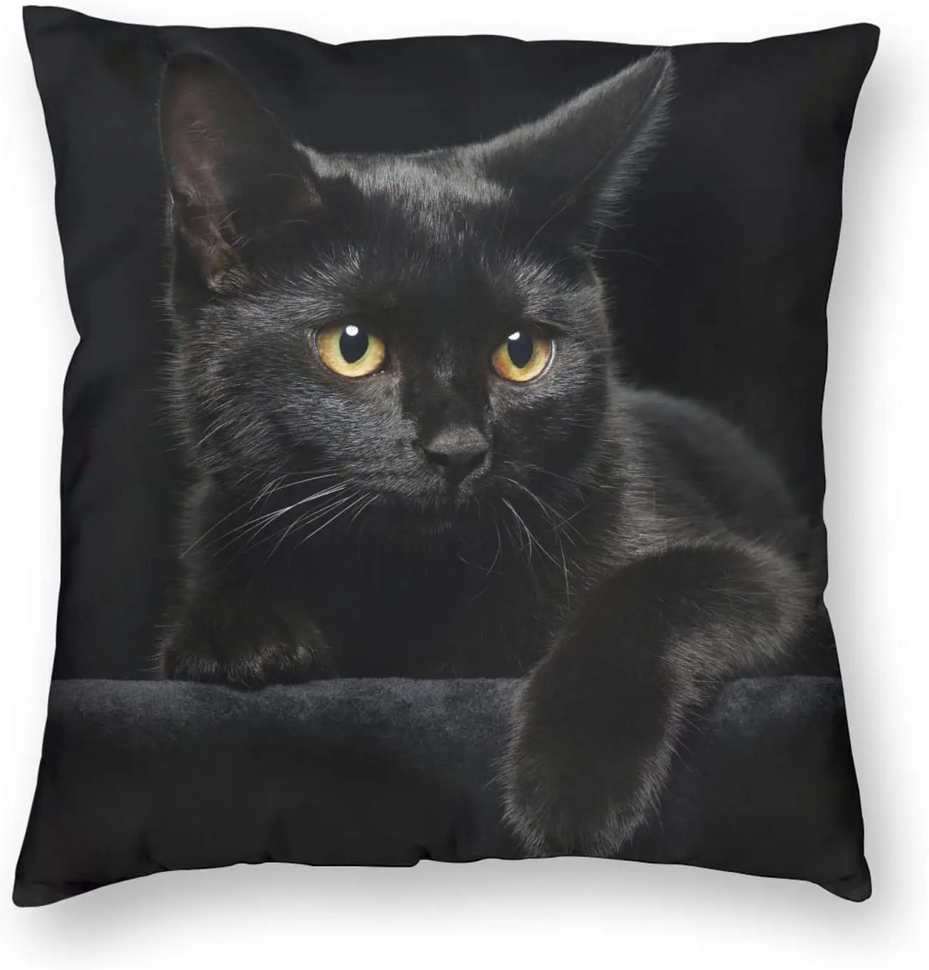 Set of 2 Black Cat Decorative Throw Pillow Cover, 18x18 Inch Realistic Cat Cushion Case for Sofa, Bedroom, Living Room Decor