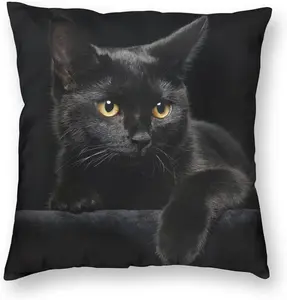 Set of 2 Black Cat Decorative Throw Pillow Cover, 18x18 Inch Realistic Cat Cushion Case for Sofa, Bedroom, Living Room Decor