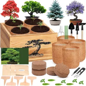 4 Pack Bonsai Tree Kit - 4 Seeds Growing  Bonsai Tree Live Kit for Beginners, Easy to Grow Complete Indoor Garden Starter Kits with Wooden Box & Tools, Christmas Gifts for Men Women  Lover