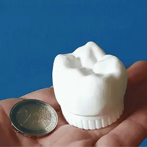 White Tooth Shaped Tooth Fairy Box Keepsake Holder Lost Teeth Storage Container Decorative Trinket Box for Milestone Memories Souvenir Organizer for Baby Teeth Collection Decorative Home Accent Piece for Bedroom Nightstand Display