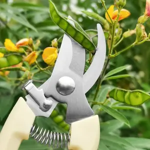 Stainless Steel Floral Pruning Shears, Garden Branch Trimming Scissors, Home Grafting Gardening Tools, Fruit Tree Bypass Clippers, Tree Trimmer