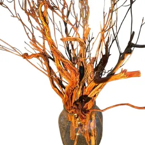 Natural Driftwood Sticks & Sand Fern Root Stems for Vase Base Filler, Rustic Wedding Decor, DIY Crafts, Aquarium & Terrarium Design, Beach Coastal Home Decorations, Unique Craft Supplies for Floral Arrangements, Table Centerpieces, and Art Projects"