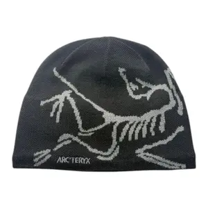 Arc'teryx Bird Head Toque Beanie, from StockX
