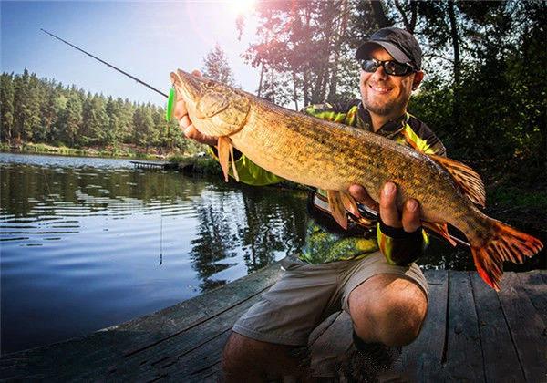 25pcs/set Multi Section Fish Top Water Propeller Bait Simulation Duck Decoy Frog Accessory Set for Sea Bass Freshwater Fishing