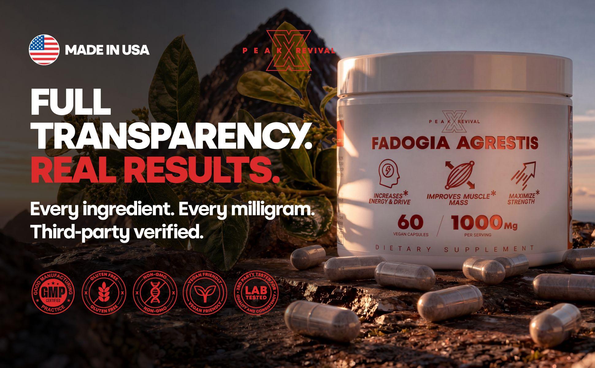 Fadogia Agrestis 1000mg – Testosterone Booster for Men – Natural Testosterone Support, Strength, Stamina, Energy, Muscle Growth & Recovery – Men's T Booster Pills, Vegan, Non-GMO, Third-Party Lab Tested, 60 Capsules