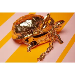 Reality Turtle Box Organiser Compartment