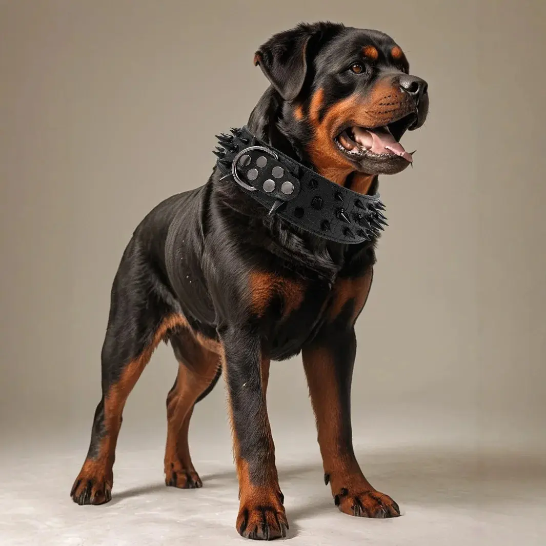 Metal Studs Anti-Chew Dog Collar, Heavy-Duty Bite Proof Collar Reinforced for Pitbull Bully Escape-Proof Durable Neck Protection, Chewproof Basic Collars, Studded Basic Collars Training Aid Training Gear