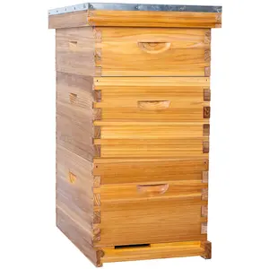 BeeCastle 10 Frame Langstroth Bee Hive Coated with Beeswax Includes Beehive Frames and Waxed Foundations