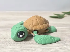 Little turtle