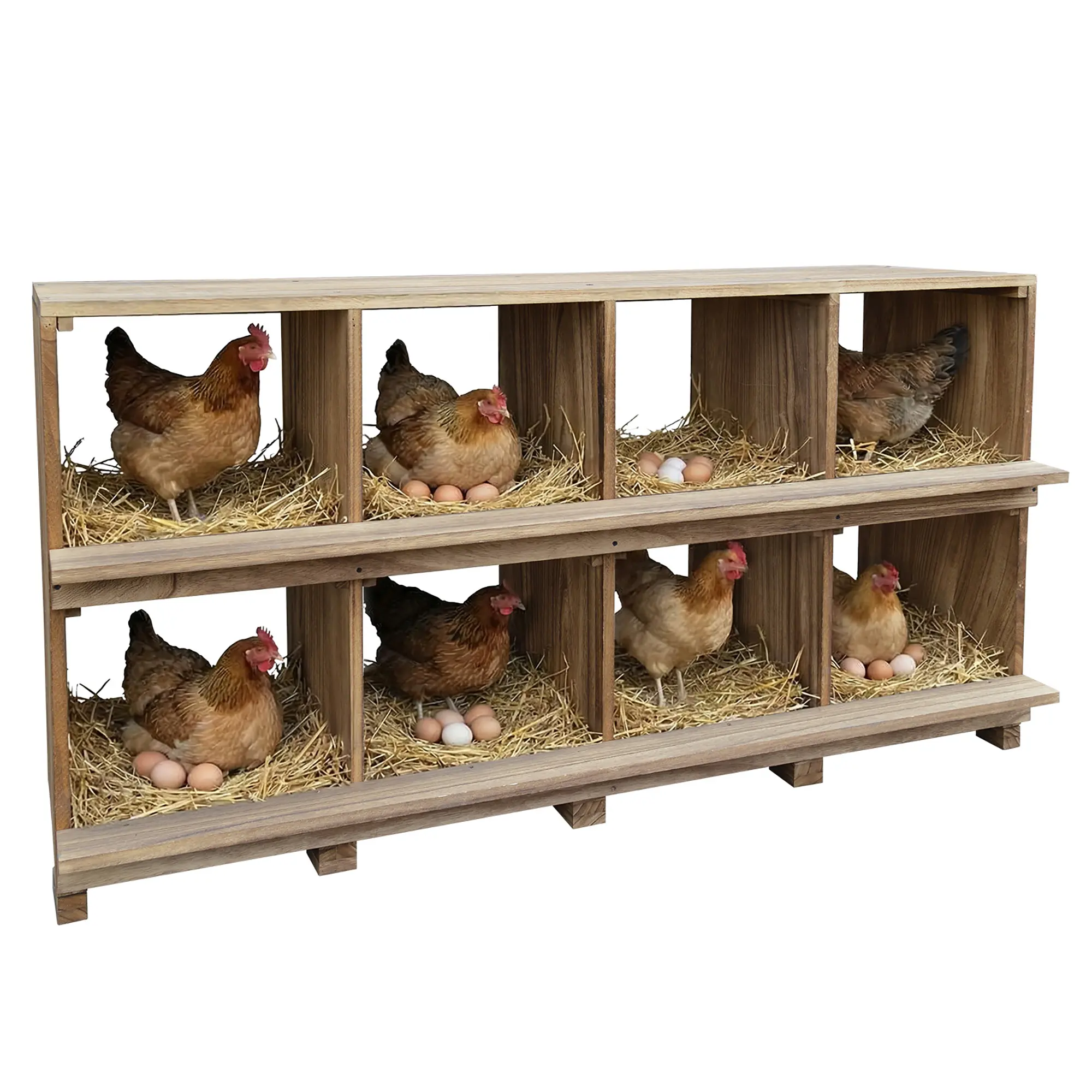 8-Compartment Solid Wood Nesting Box for Backyard Chicken Keepers, Chicken Coop Accessories with Hardware, Egg Fall Prevention, Easy Assembly, Pre-Drilled Wall Fit, Good Ventilation, Ample Laying Space, Wall/Stand Mount