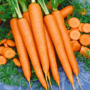 Tendersweet Carrot Seeds