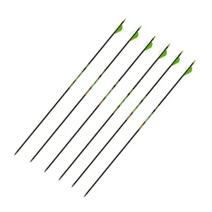 Gold Tip Hunter XT Arrows 340 with 2-Inch Raptor Vane (Pack of 6)