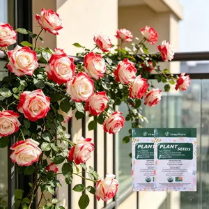 （ML#FF）Premium Rose Seeds - Grow Gorgeous Roses in Your Own Backyard with Our High-Quality Seeds