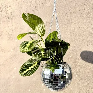 Disco Ball Hanging Planter (6in)
