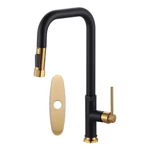 WOWOW Single Handle Pull Down Sprayer Kitchen Faucet with Advanced Spray and Deck Plate in Black and Gold