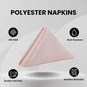 20 inch Polyester Cloth Napkins Blush (Pack of 10)