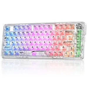 Risophy 81-Key Fully Transparent Matte Mechanical Keyboard | Hot-Swappable | RGB Cool Lighting | Compatible with PC/Mac
