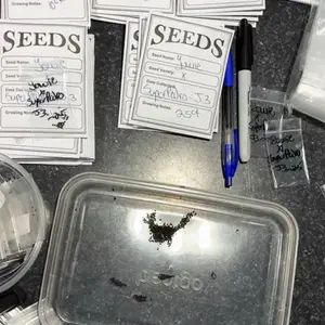 FeydsCacti’s Cactus Blessing : A Lot Of It All