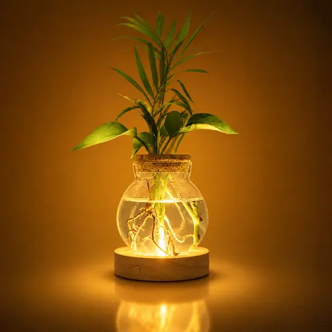 LED Plant Propagation Vase with Wooden Base, Stepless Dimmable Glass Hydroponic Terrarium, Indoor Holder, Modern House Decor Room Decorations Gift for Plant Lovers, Mom & Women
