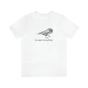 Leftist French Anarchist Crow Bird No God No Masters Secular Horizontalism Raven Cute T-Shirt, Gift for Fan, Gift For Women , Top Womenswear