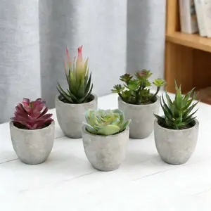 5 Pots Artificial Succulent Plants Potted, Assorted Decorative Faux Succulent Potted Fake Cactus Cacti Plants with Pots
