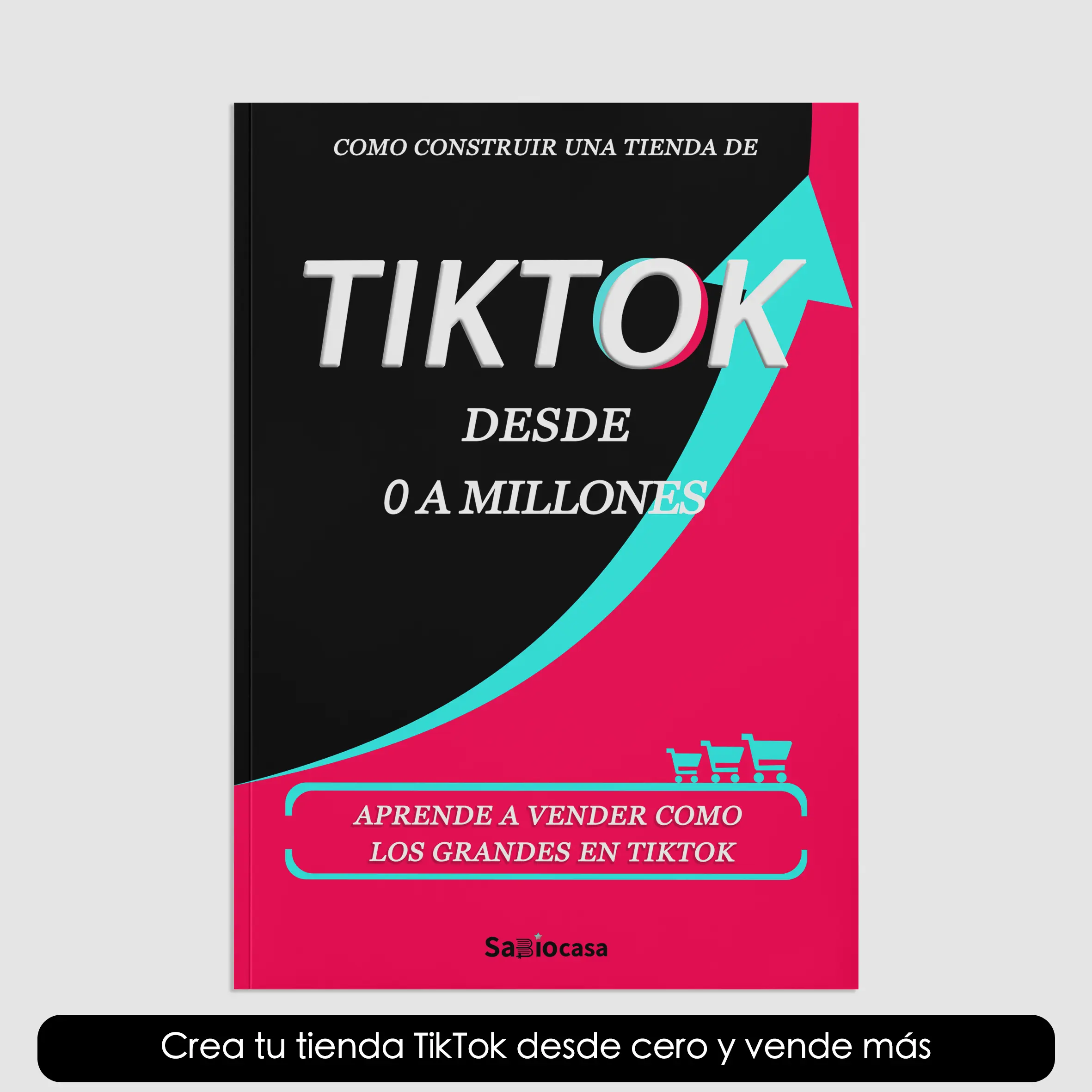 Un camino claro de visualizaciones a ventas. De cero seguidores a ingresos reales. Contenido, tienda de TikTok, ventas en vivo y anuncios pagados: explicado paso a paso.