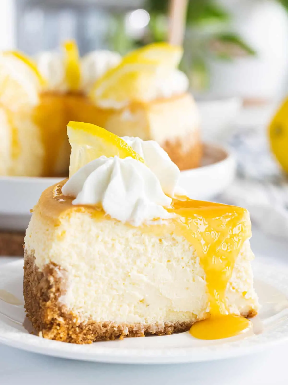 Lemon Cheesecake Whipped Body Butter